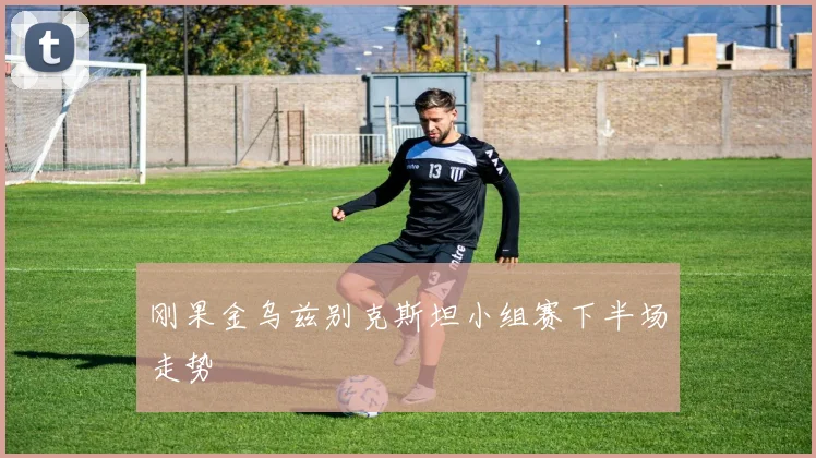 刚果金乌兹别克斯坦小组赛下半场走势