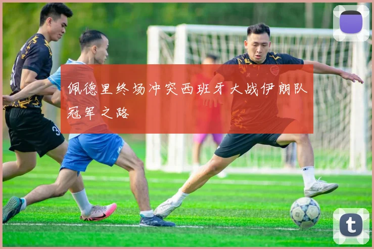 佩德里终场冲突西班牙大战伊朗队冠军之路