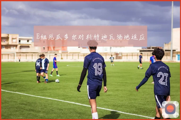E组厄瓜多尔对科特迪瓦场地适应