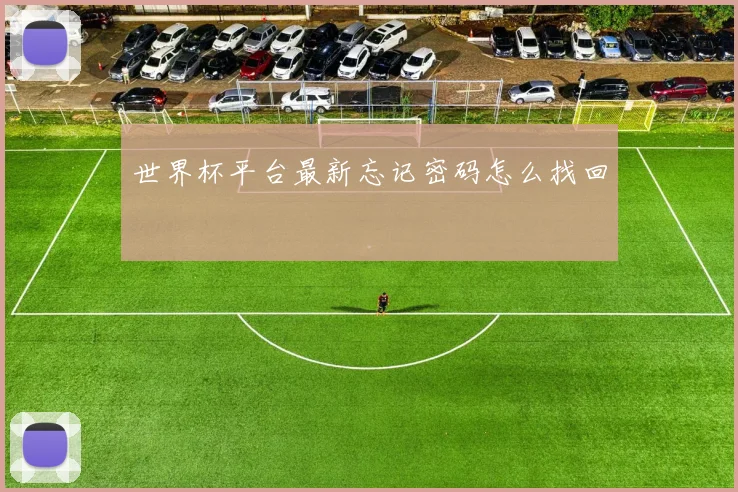 世界杯平台最新忘记密码怎么找回