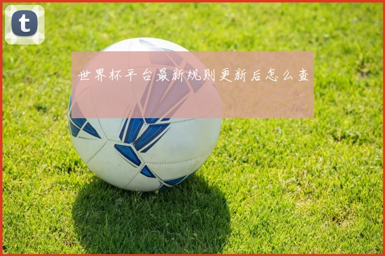 世界杯平台最新规则更新后怎么查