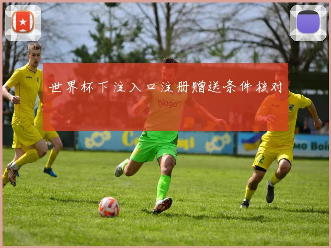 世界杯下注入口注册赠送条件核对