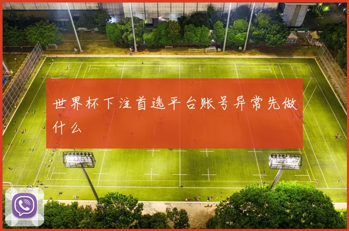 世界杯下注首选平台账号异常先做什么