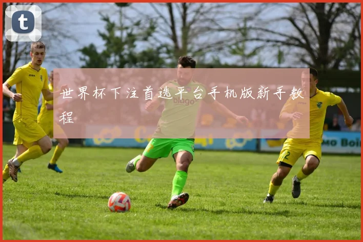 世界杯下注首选平台手机版新手教程